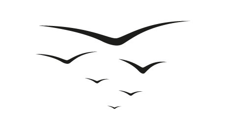 Ton, text och tal – vingar