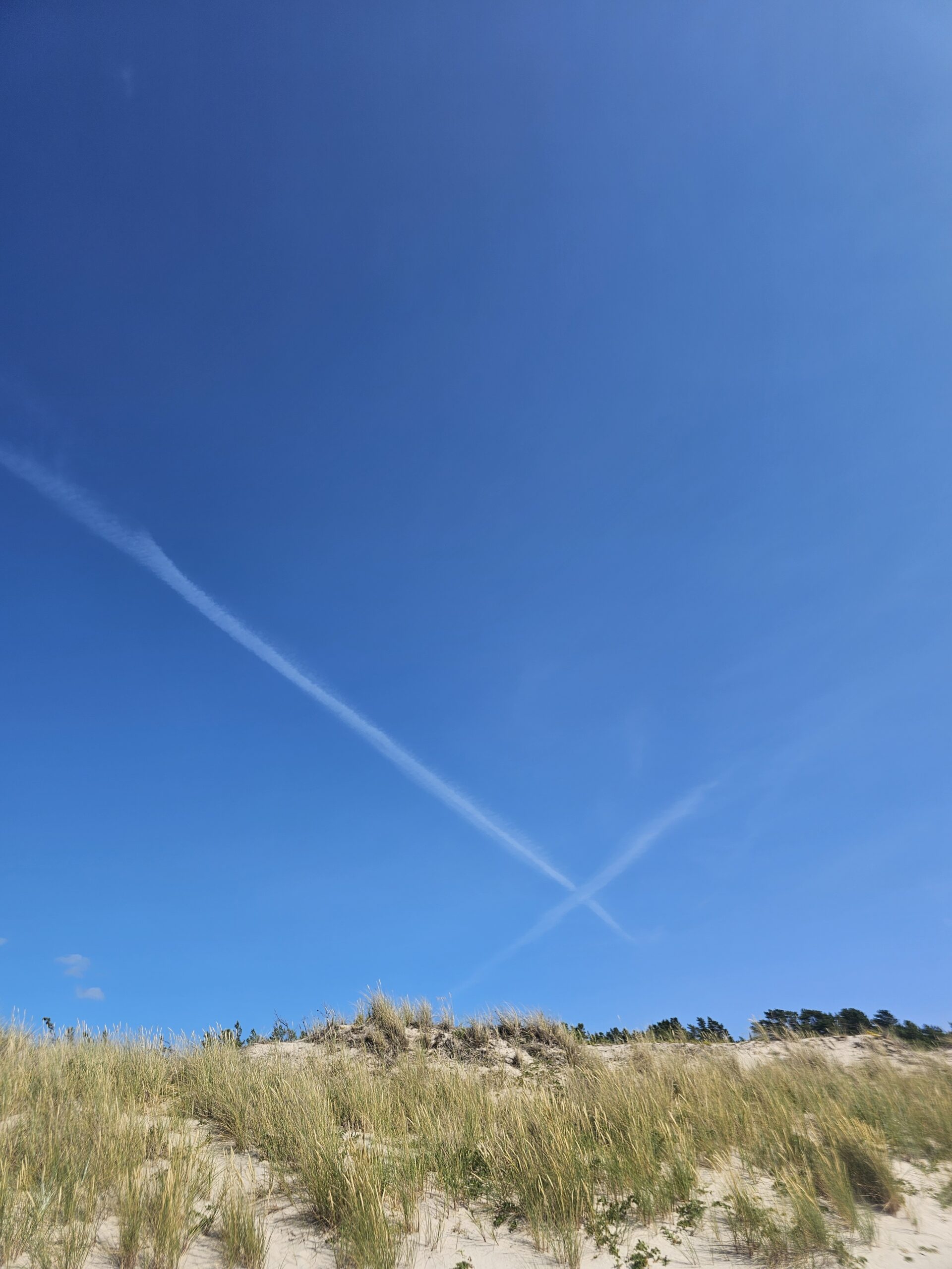 Blå himmel med två kondensstrimmor som korsar varandra, sett från en sanddyna